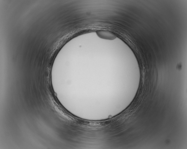 X0000115230445200912111034