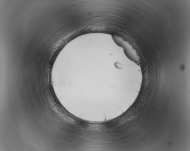 X0000115230446200912111034