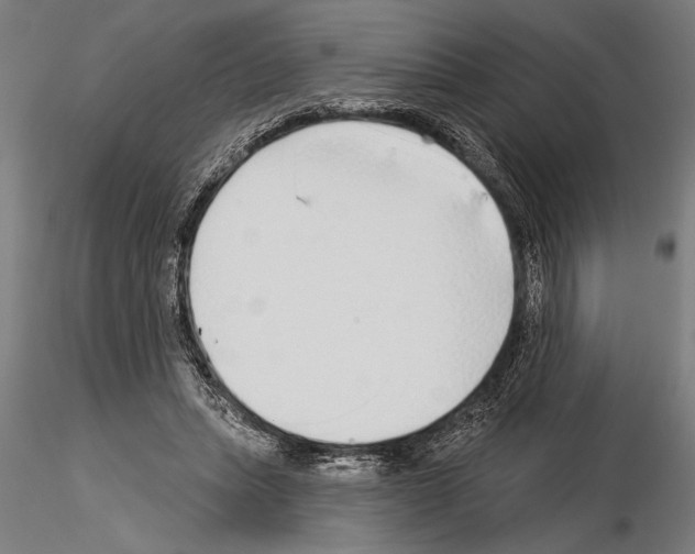 X0000115230447200912111034