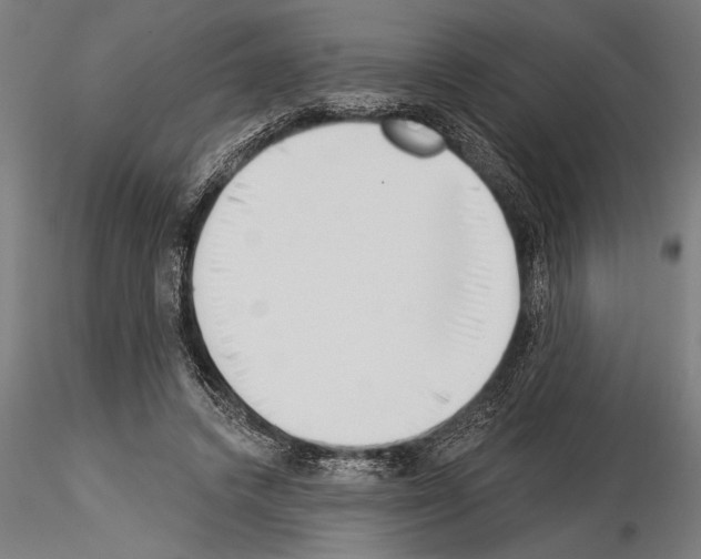 X0000115230448200912111034