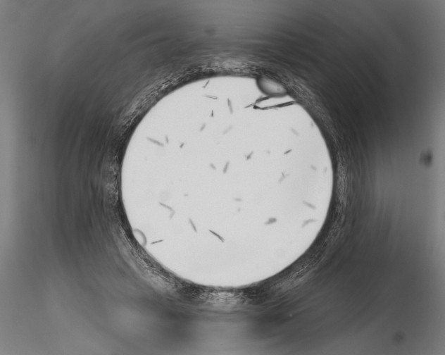 X0000115230449200912111034