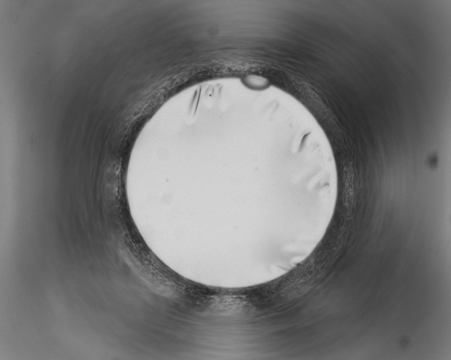 X0000115230451200912111034