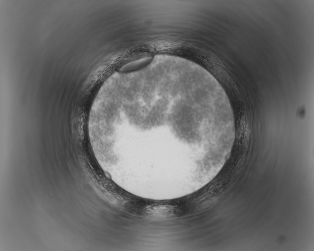 X0000115230452200912111034