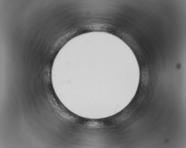 X0000115230453200912111034