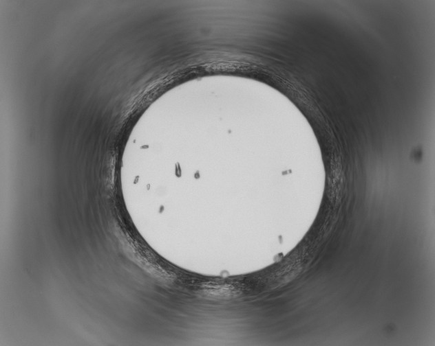 X0000115230454200912111034