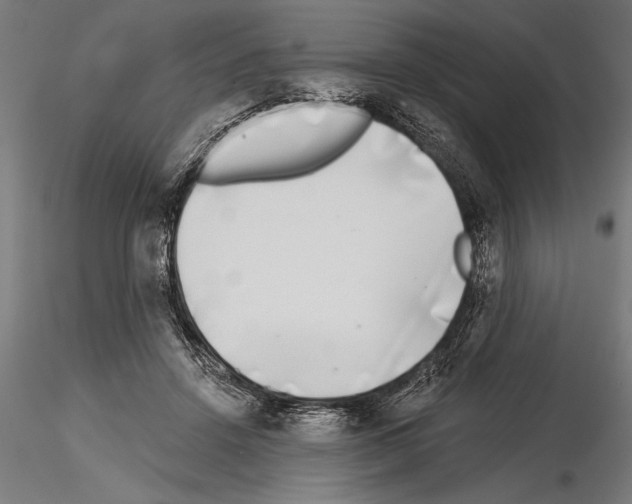 X0000115230456200912111034