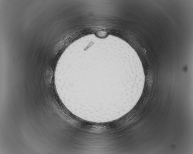 X0000115230458200912111034