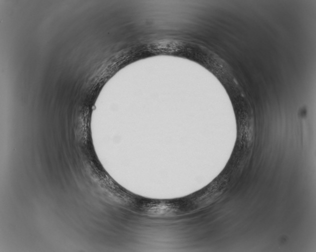 X0000115230460200912111034