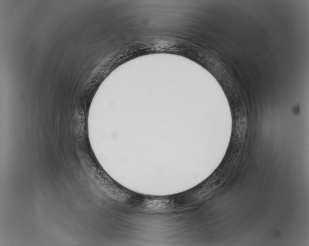 X0000115230461200912111035