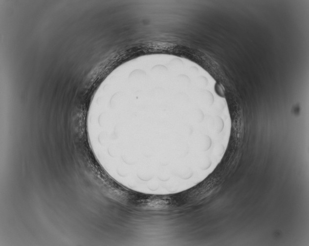 X0000115230462200912111035