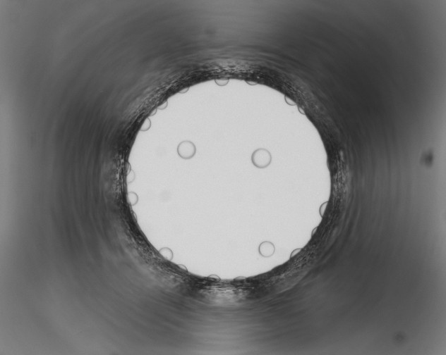 X0000115230464200912111035