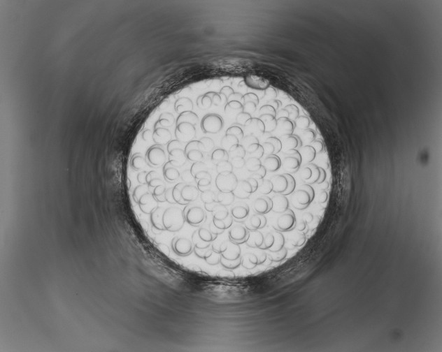 X0000115230466200912111035