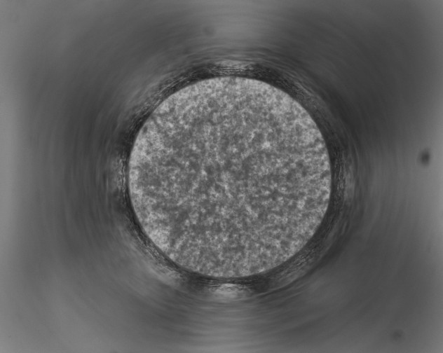 X0000115230467200912111035