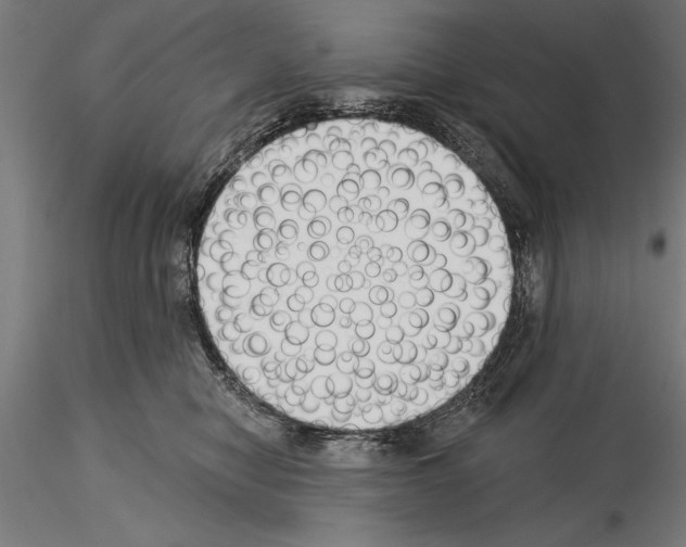 X0000115230470200912111035