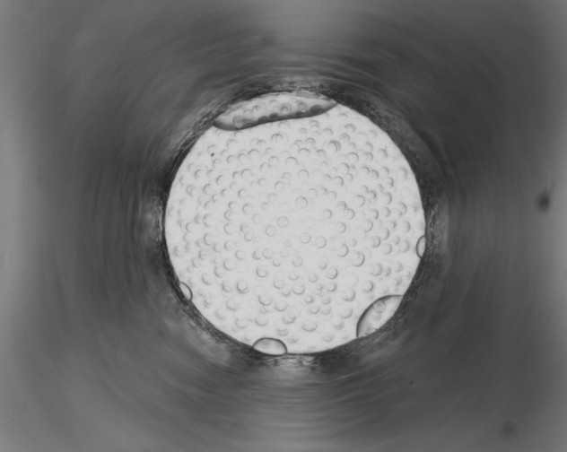 X0000115230474200912111035