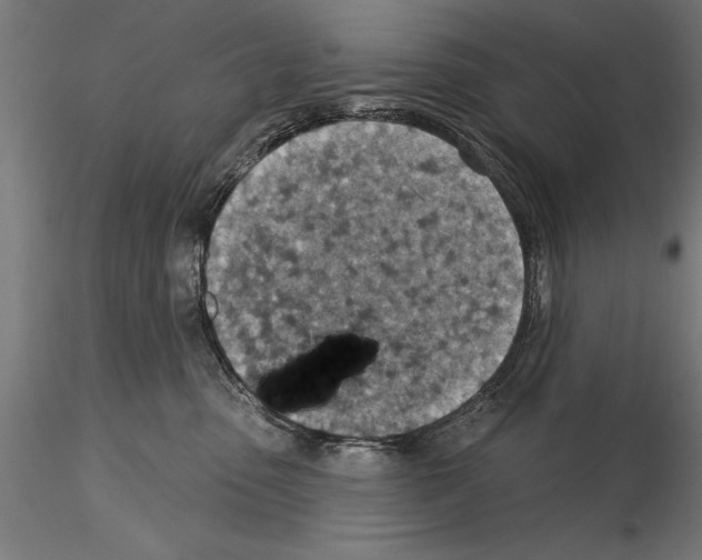 X0000115230475200912111035