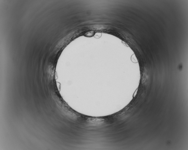 X0000115230476200912111035