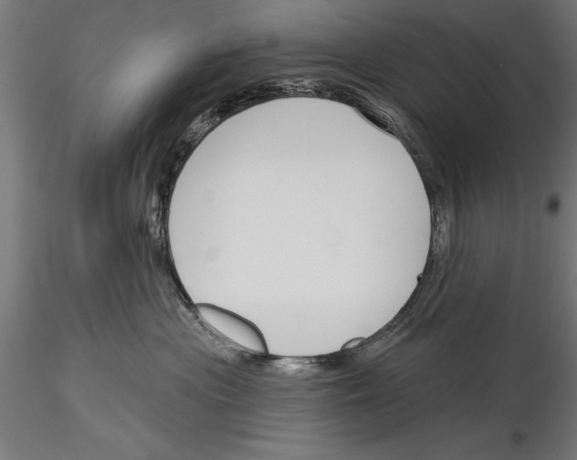 X0000115230477200912111035