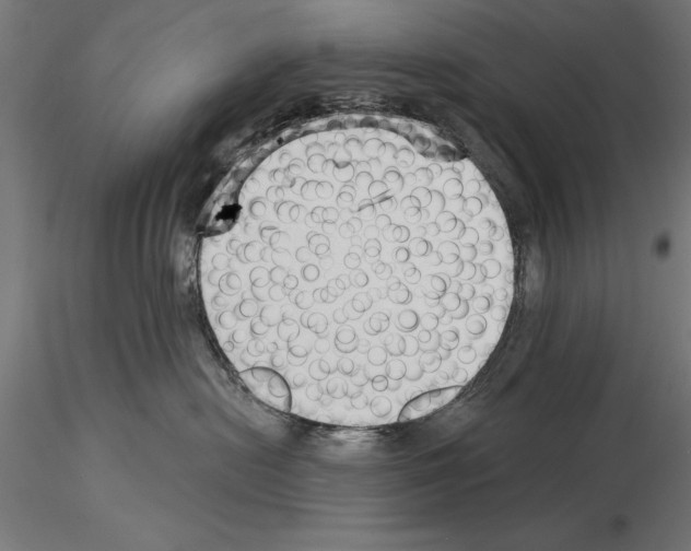 X0000115230478200912111035