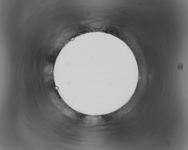 X0000115230480200912111035