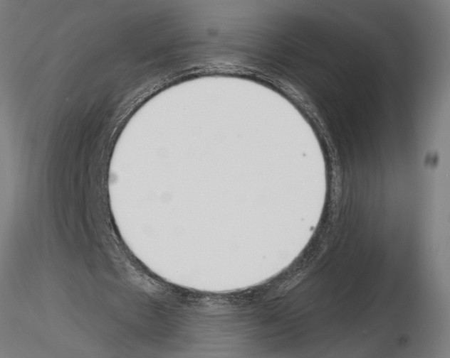 X0000115230481200912111034