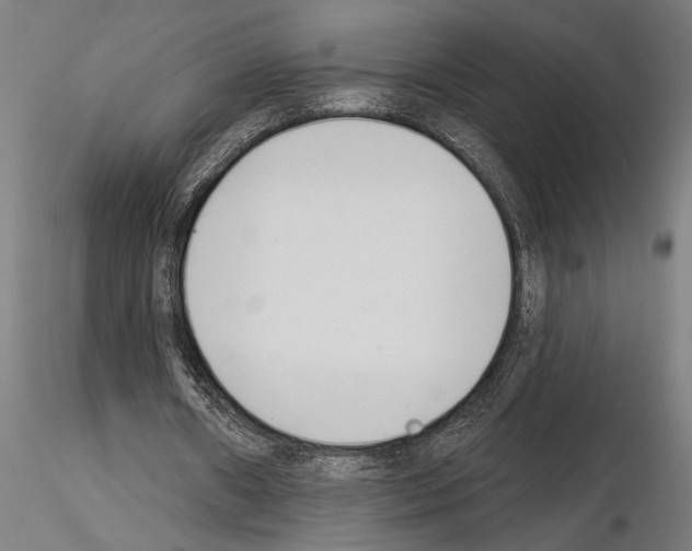 X0000115230482200912111034