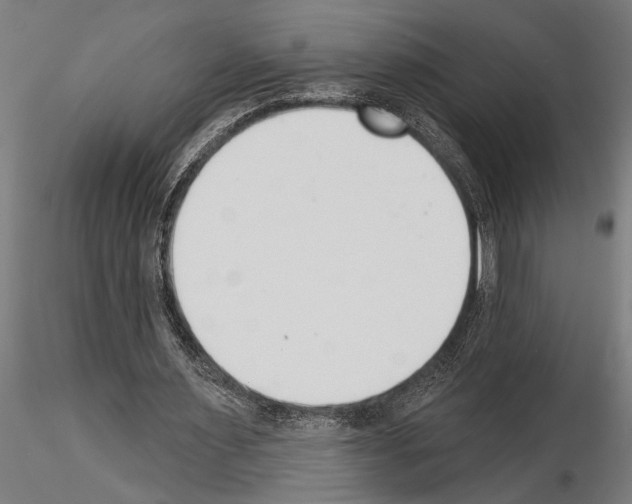 X0000115230483200912111034