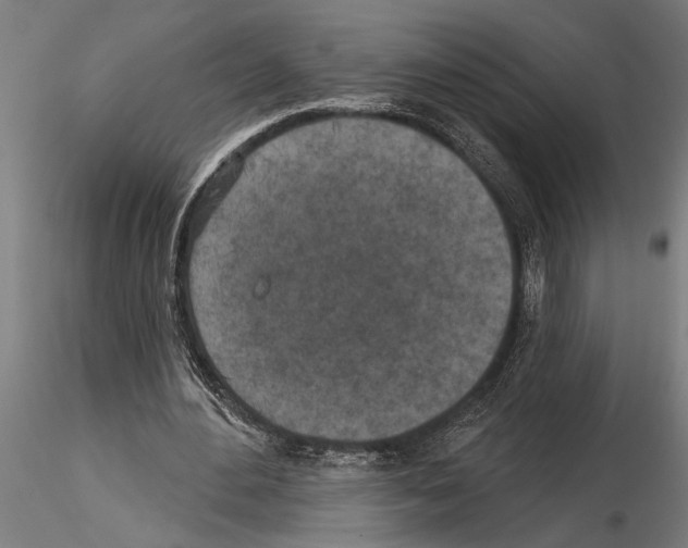 X0000115230484200912111034