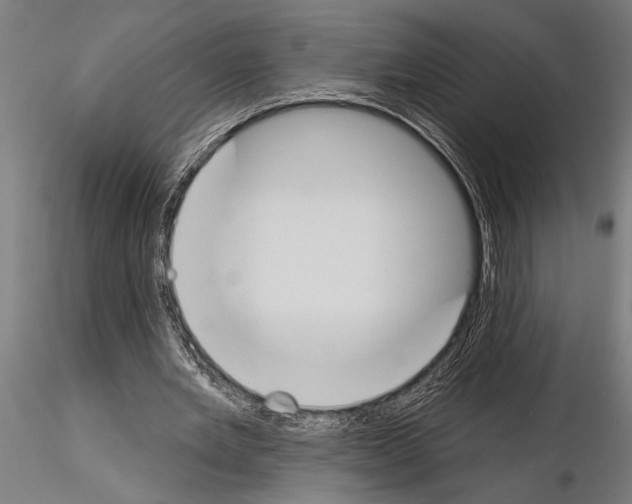 X0000115230485200912111034