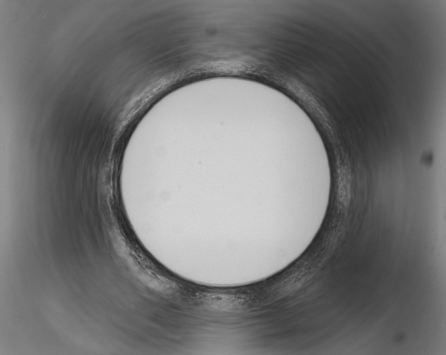 X0000115230486200912111034