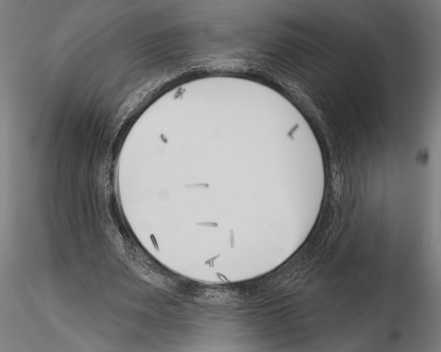 X0000115230487200912111034