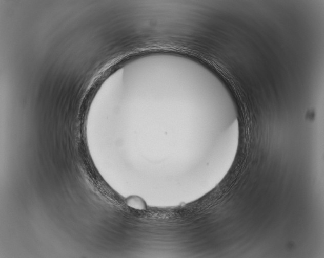 X0000115230488200912111034