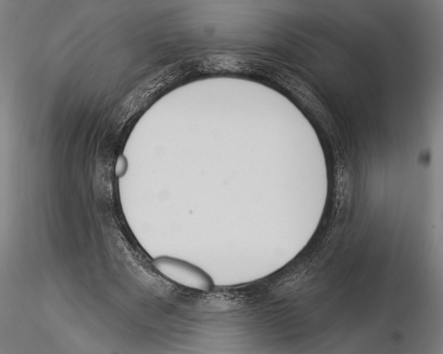 X0000115230489200912111034