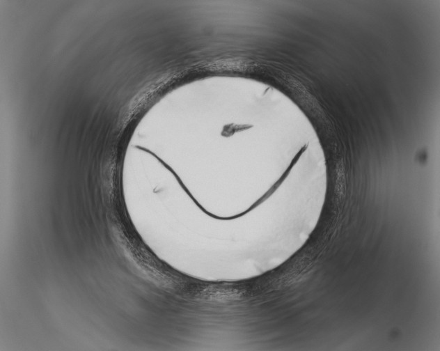 X0000115230491200912111034