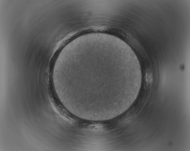 X0000115230492200912111034