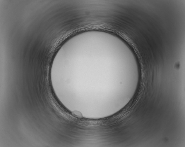 X0000115230493200912111034