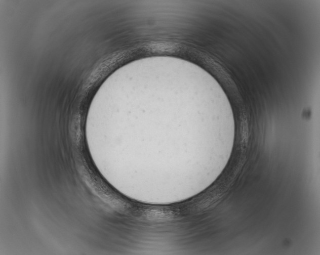 X0000115230494200912111034