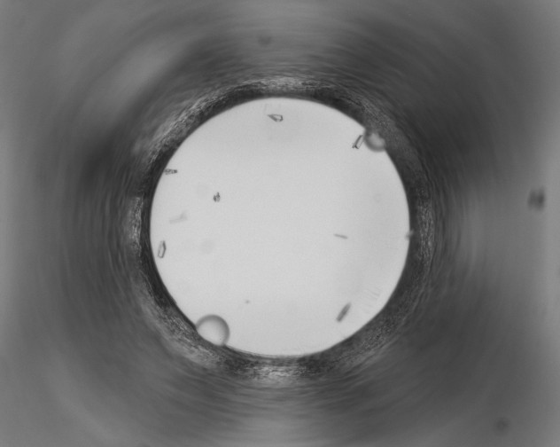 X0000115230495200912111034