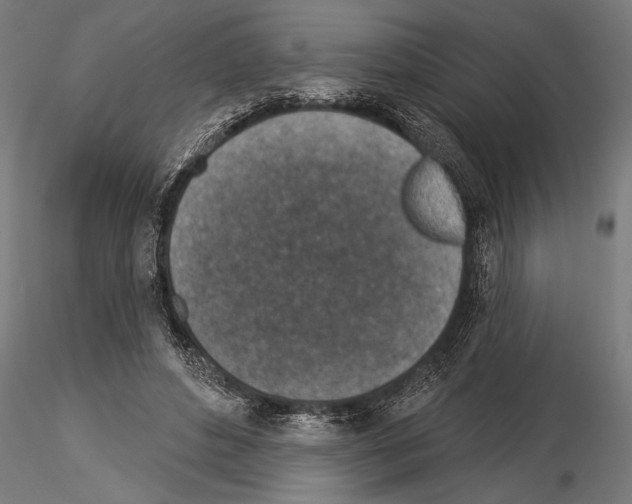 X0000115230496200912111034