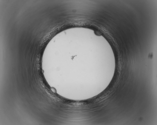 X0000115230497200912111034