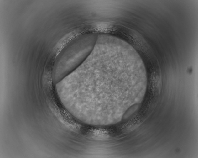 X0000115230500200912111034