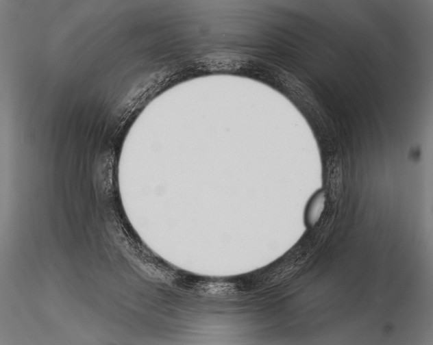 X0000115230501200912111034