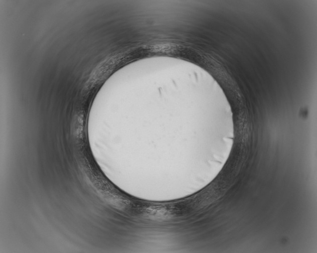 X0000115230502200912111034