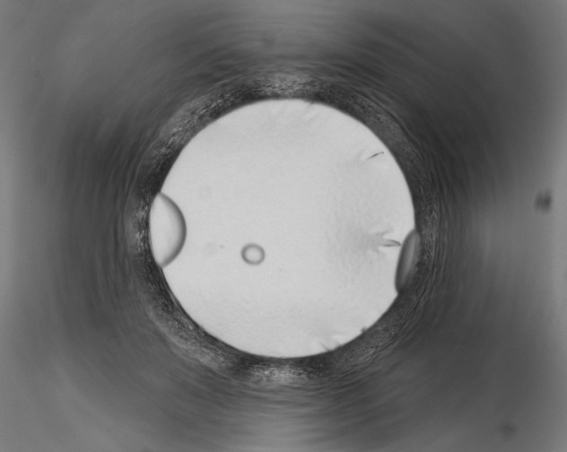 X0000115230503200912111034