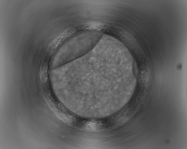 X0000115230504200912111034