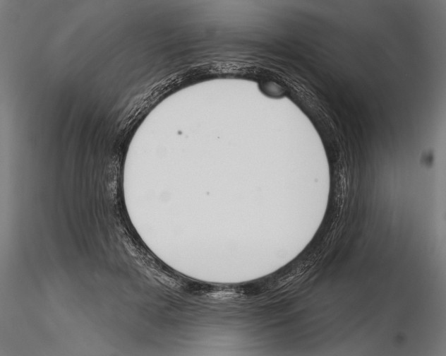 X0000115230505200912111034