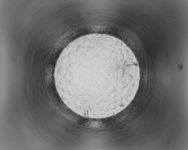 X0000115230507200912111034