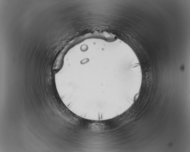 X0000115230508200912111034