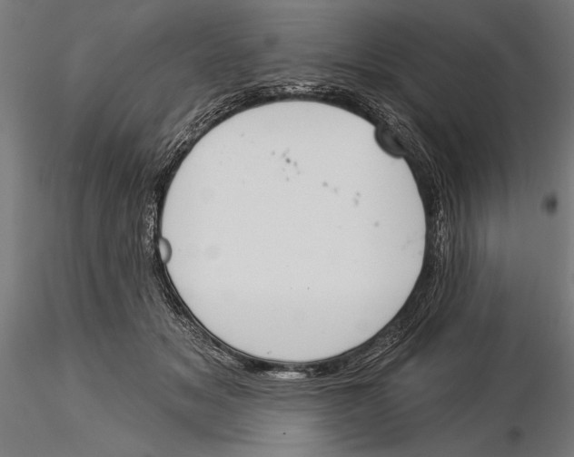 X0000115230509200912111034