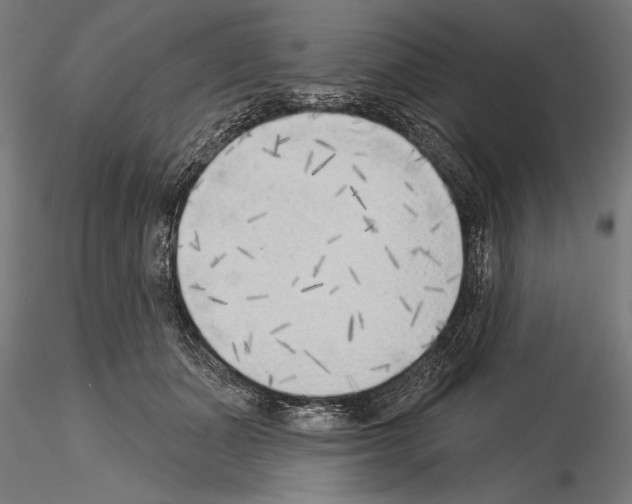 X0000115230511200912111034